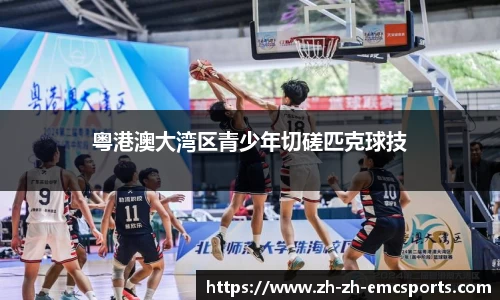 emc易倍体育官方网站